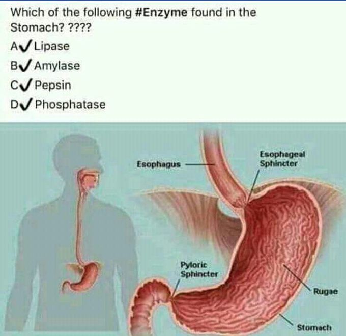 Study materials