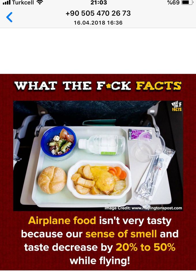Airplane