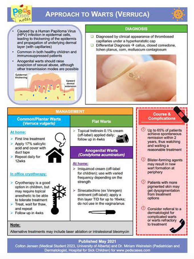 Approach to Warts