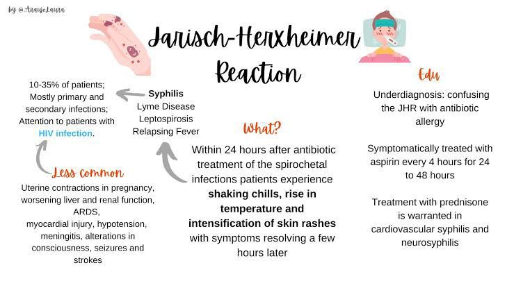 Jarisch Herxheimer Reaction - MEDizzy