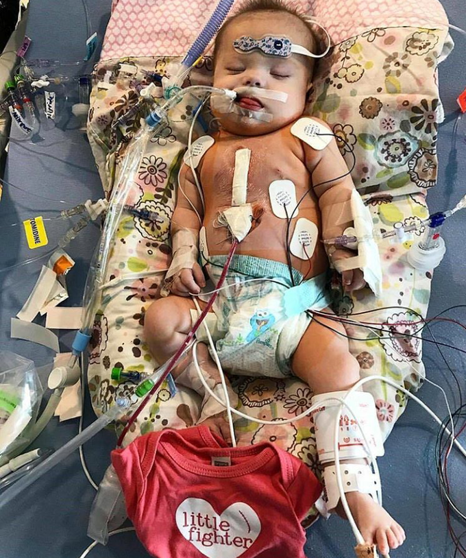 Little Baby Hero👏