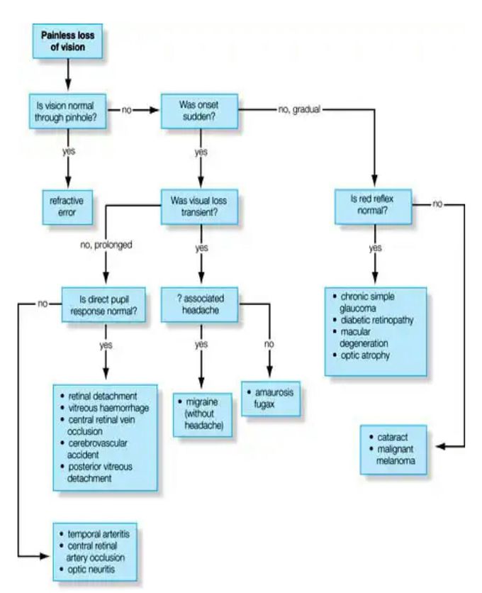 Loss of vision algorithm..