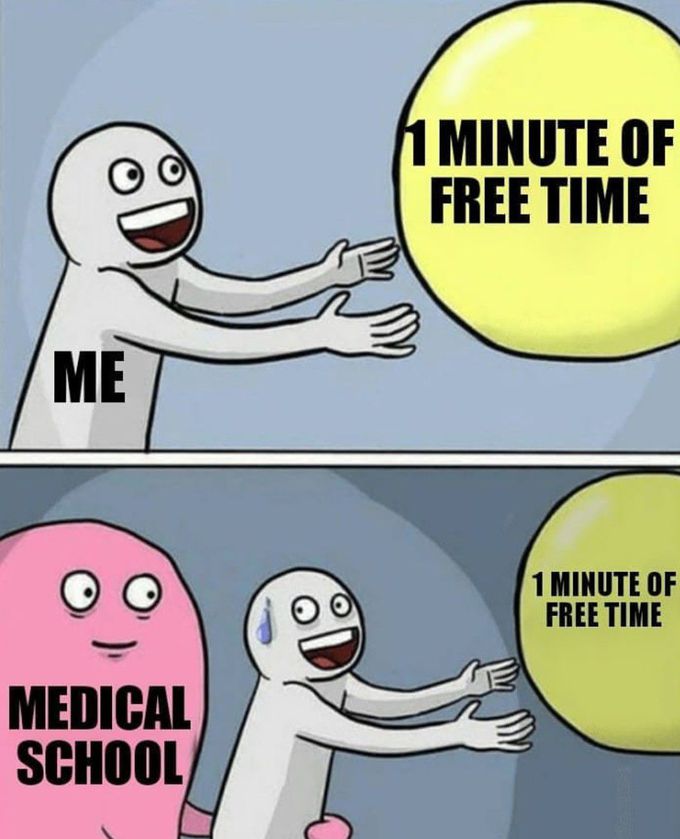 MEDICAL SCHOOL.
