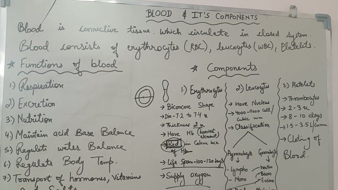 BLOOD AND IT'S COMPONENTS