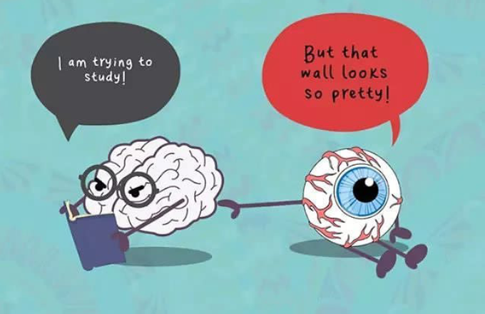 The truth of all medical students 😒