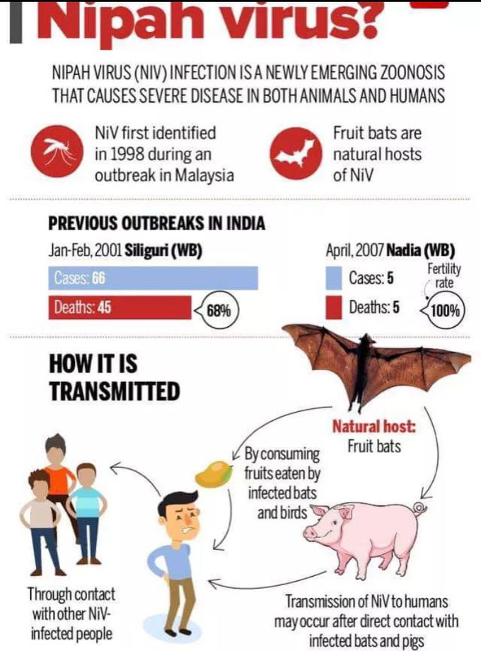 Nipah virus (NiV)