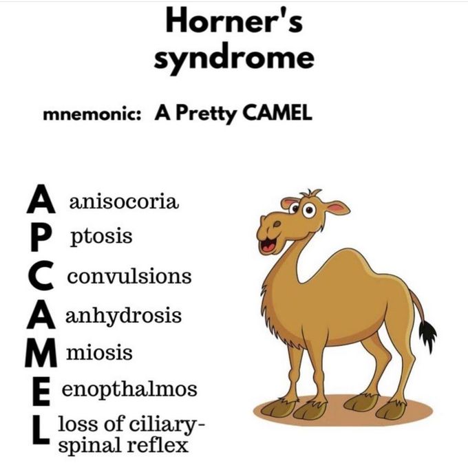 Horner Syndrome