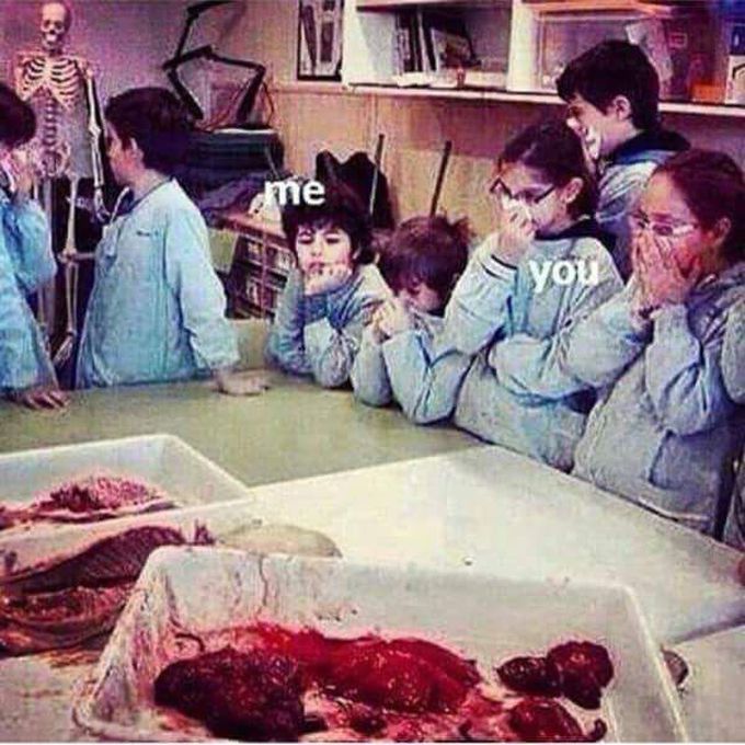 Med students vs regular students