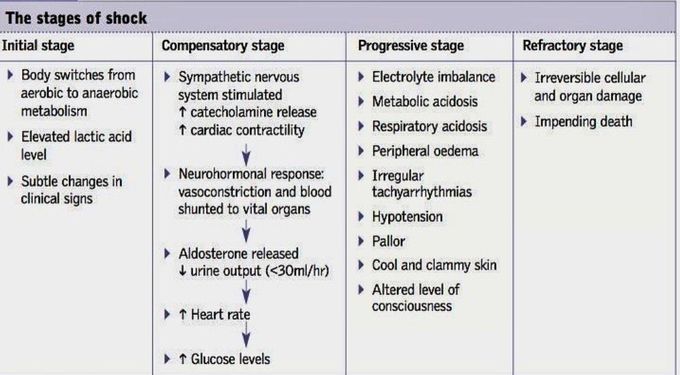 The Stages of Shock