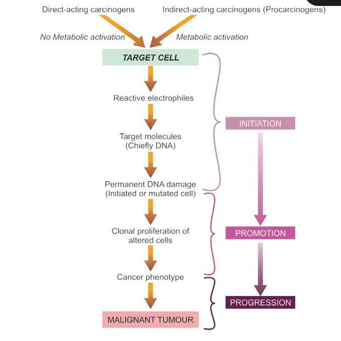 Chemical carcinogenesis