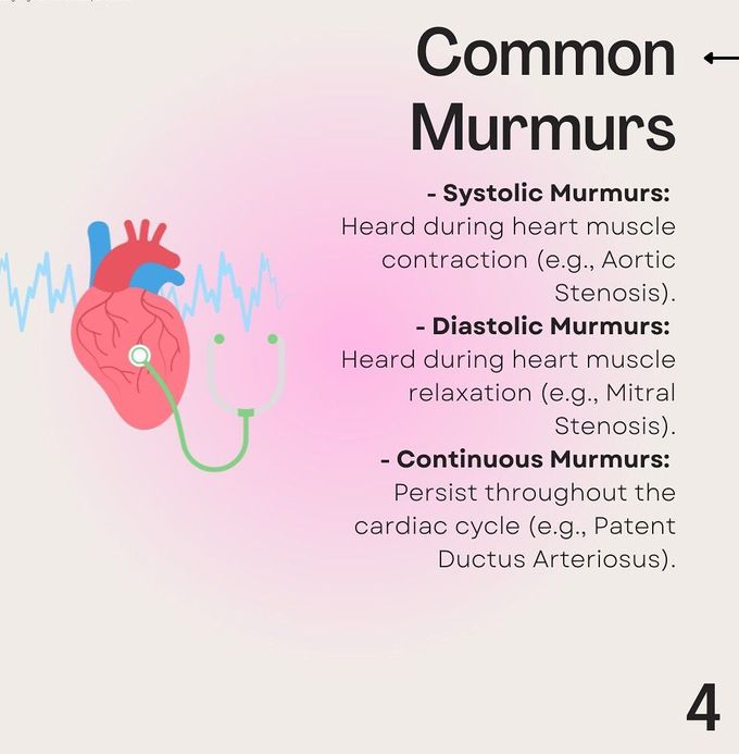 Heart Auscultation IV