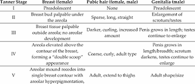 What are the stages of puberty for girls?