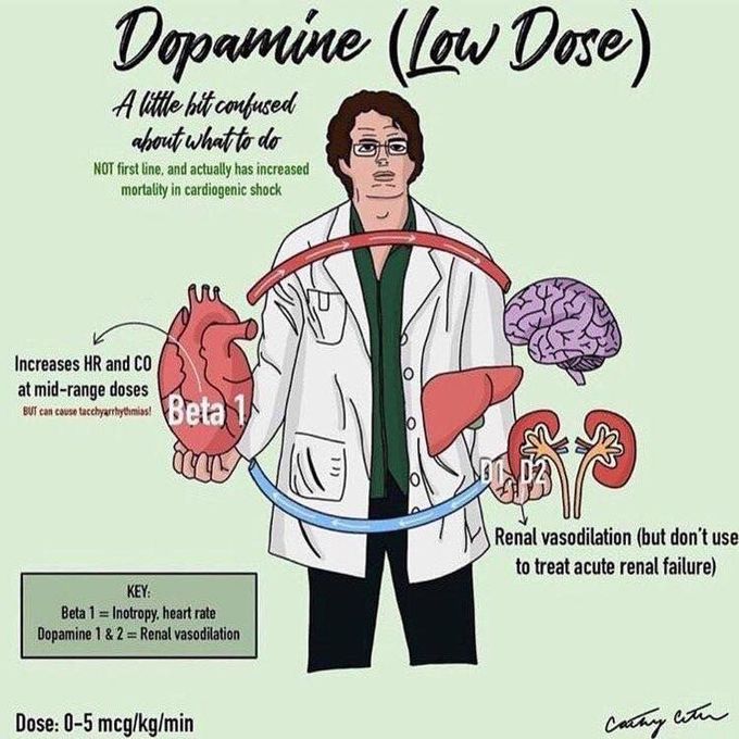 Dopamine low dose