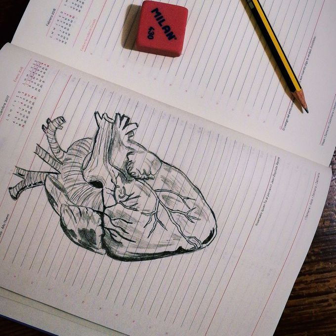 Anatomy art