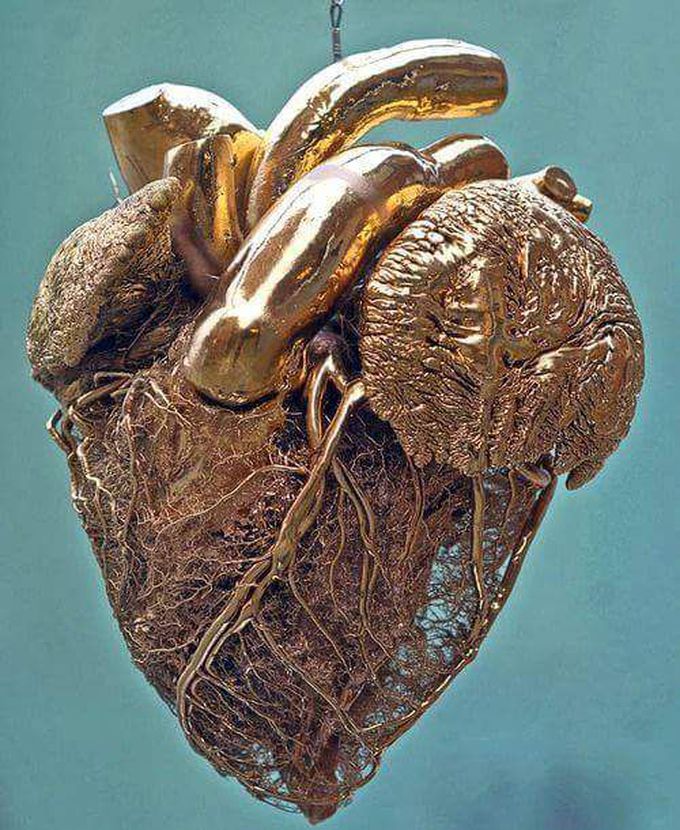 Solid gold plastination.