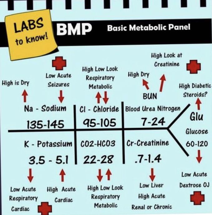 metabolic-panel-medizzy