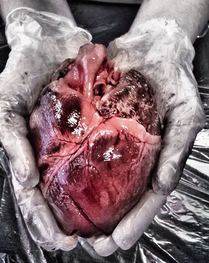 Hearts are really beautiful !!