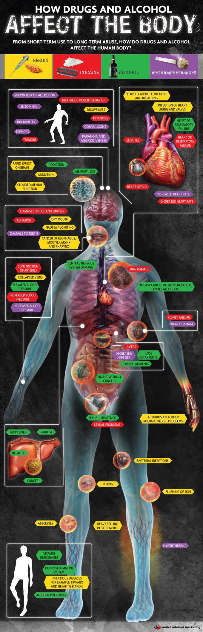 How drugs and alcohol affect the body