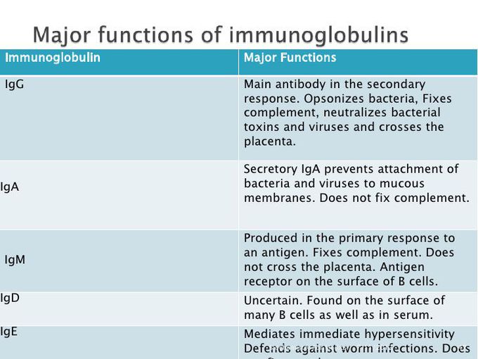 Immunoglobulins