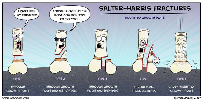 Salter-Harris Fracture Classification