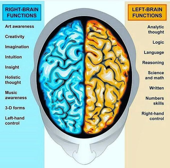 Know the functions of your brain hemispheres!