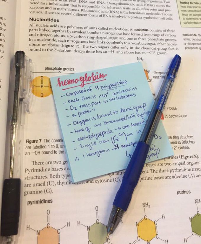 Sunday Studyday ^•^
