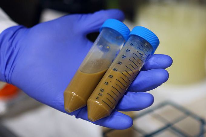 Poop Transplant for Treatment of COVID-19