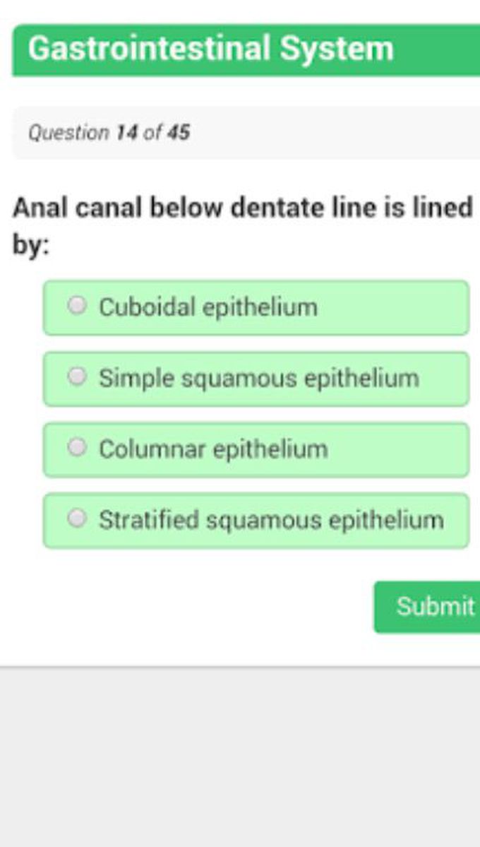 Related Gastrointestinal track