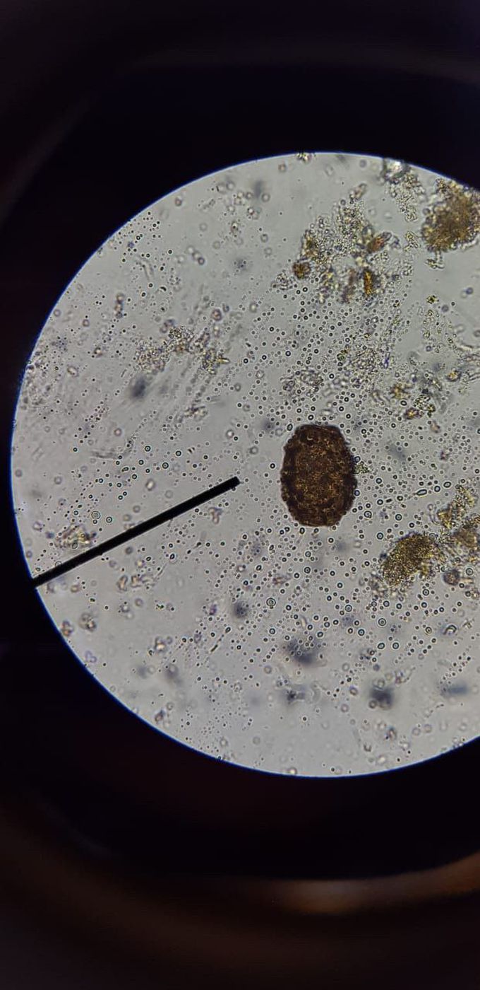 Can you identify this?