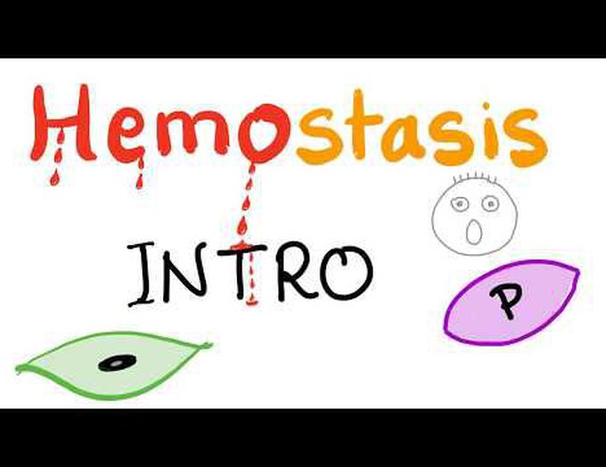 Hemostasis Introduction