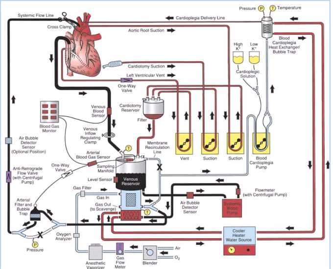 Happy Perfusion week to all my cardiac perfusionist and cardiac surgeons