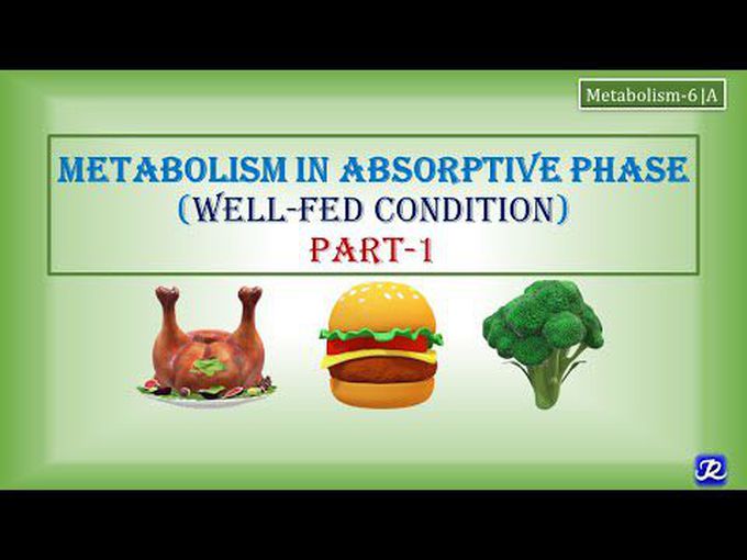 Introduction to metabolic changes in well-fed (Absorptive) phase