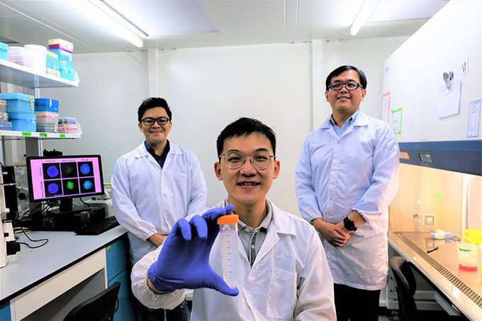 A Trojan Horse for Cancer Cells