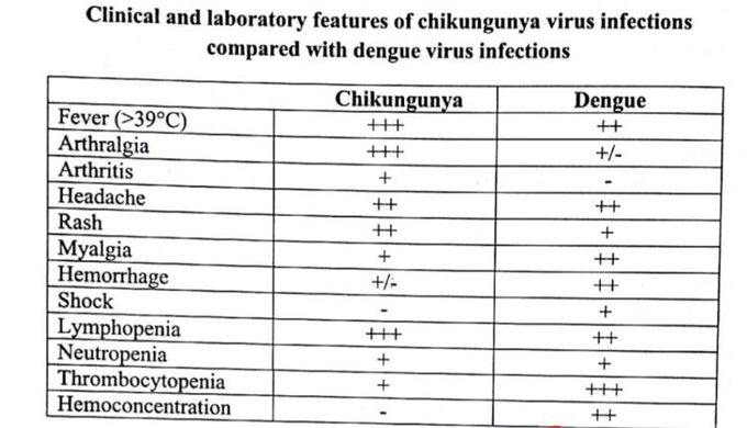 Chikungunya virus inf. Compared with dengue virus inf.