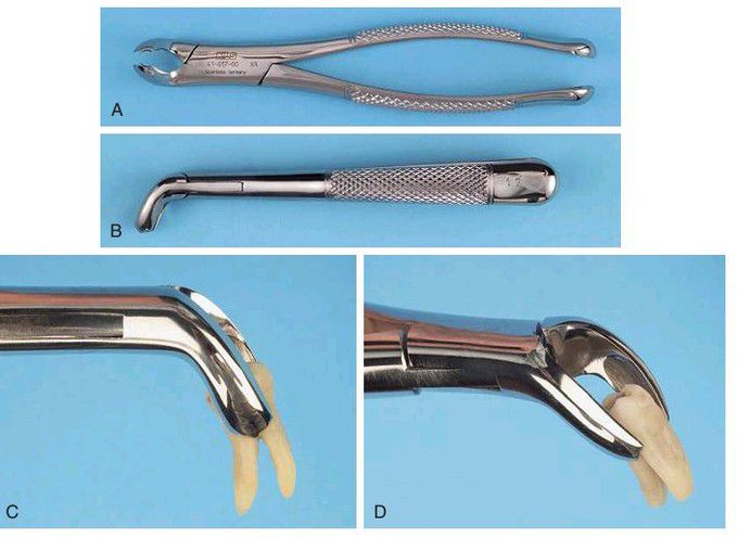 No 17 molar forceps