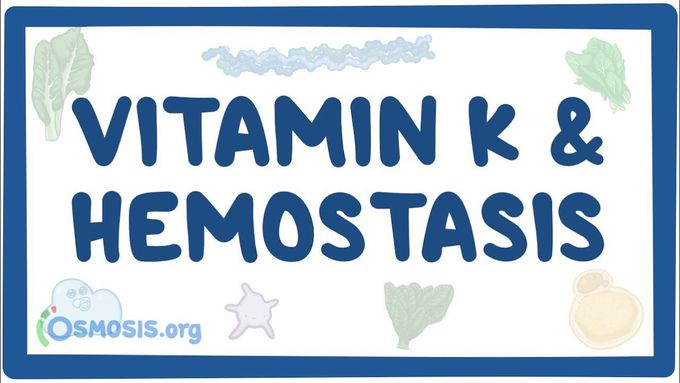 Vitamin K and hemostasis