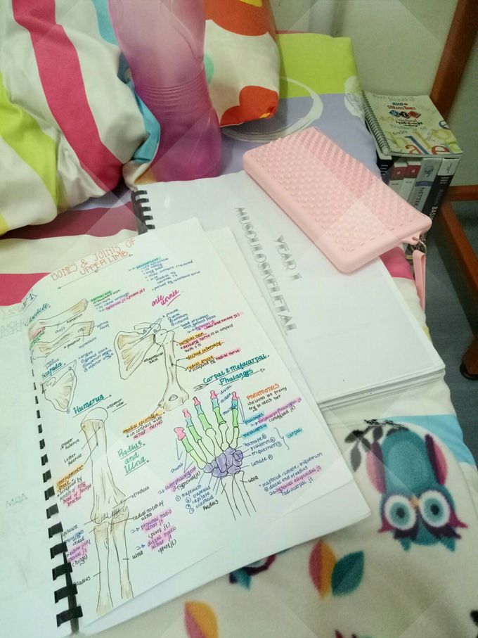 Studying for Professional Exam 😣😴😷