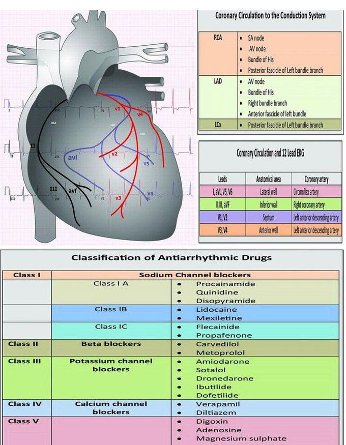 12 lead ECG System