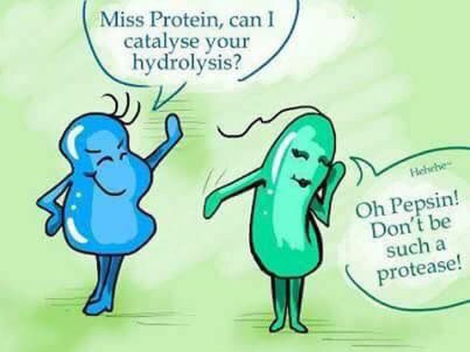 😂😂👌🏻