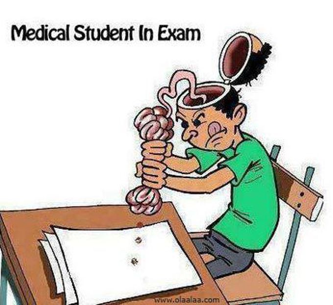 During Exams