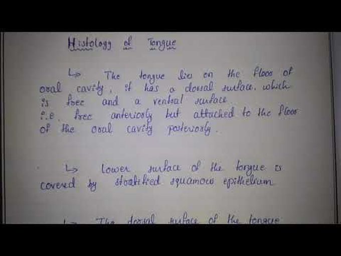 Histology- Tongue