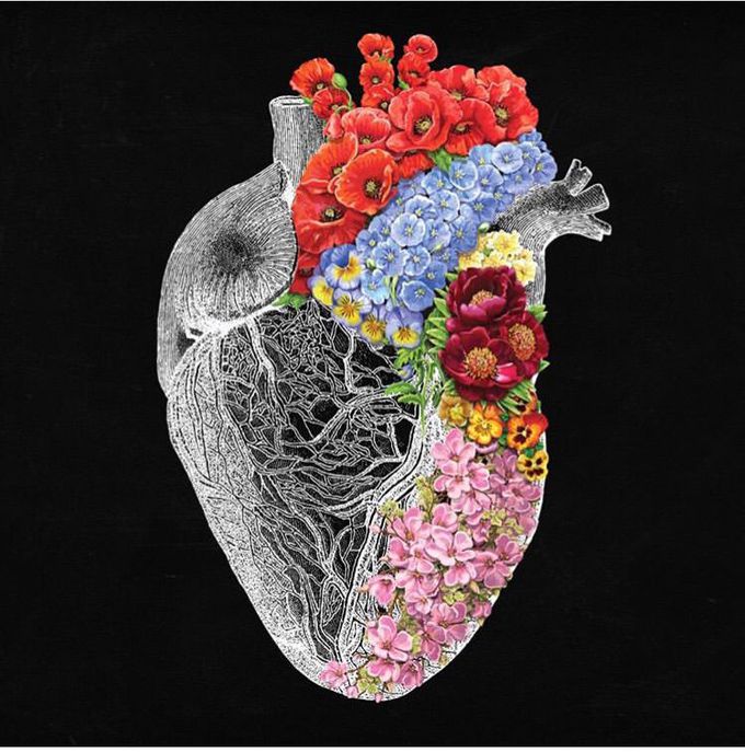 Hearts, Anatomy, artists, flower heart, cool