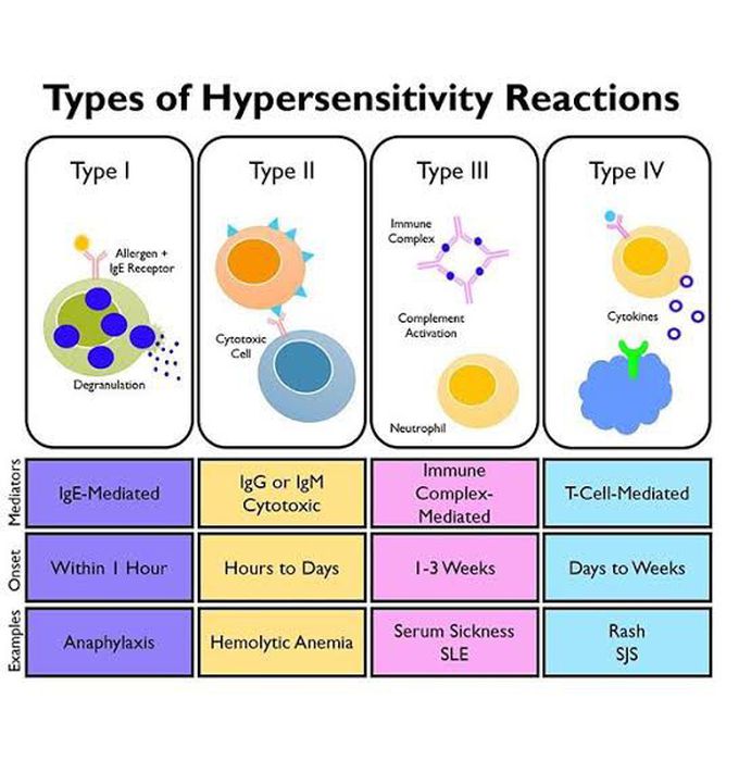 types of hypersensitivity