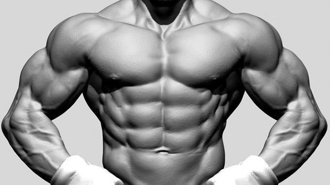 Best Legal Steroids For Muscle Building: A Comprehensive Guide