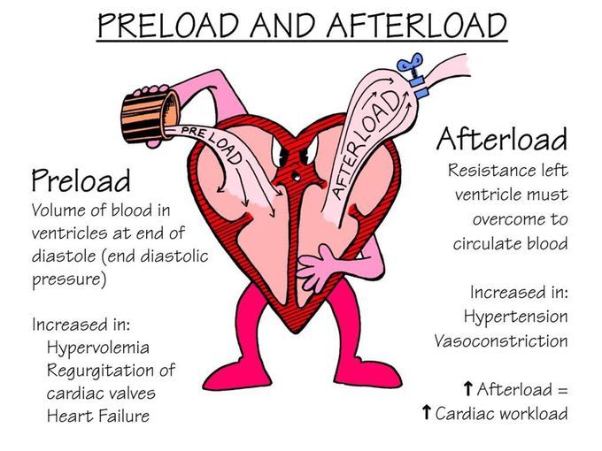 Preload and Afterload