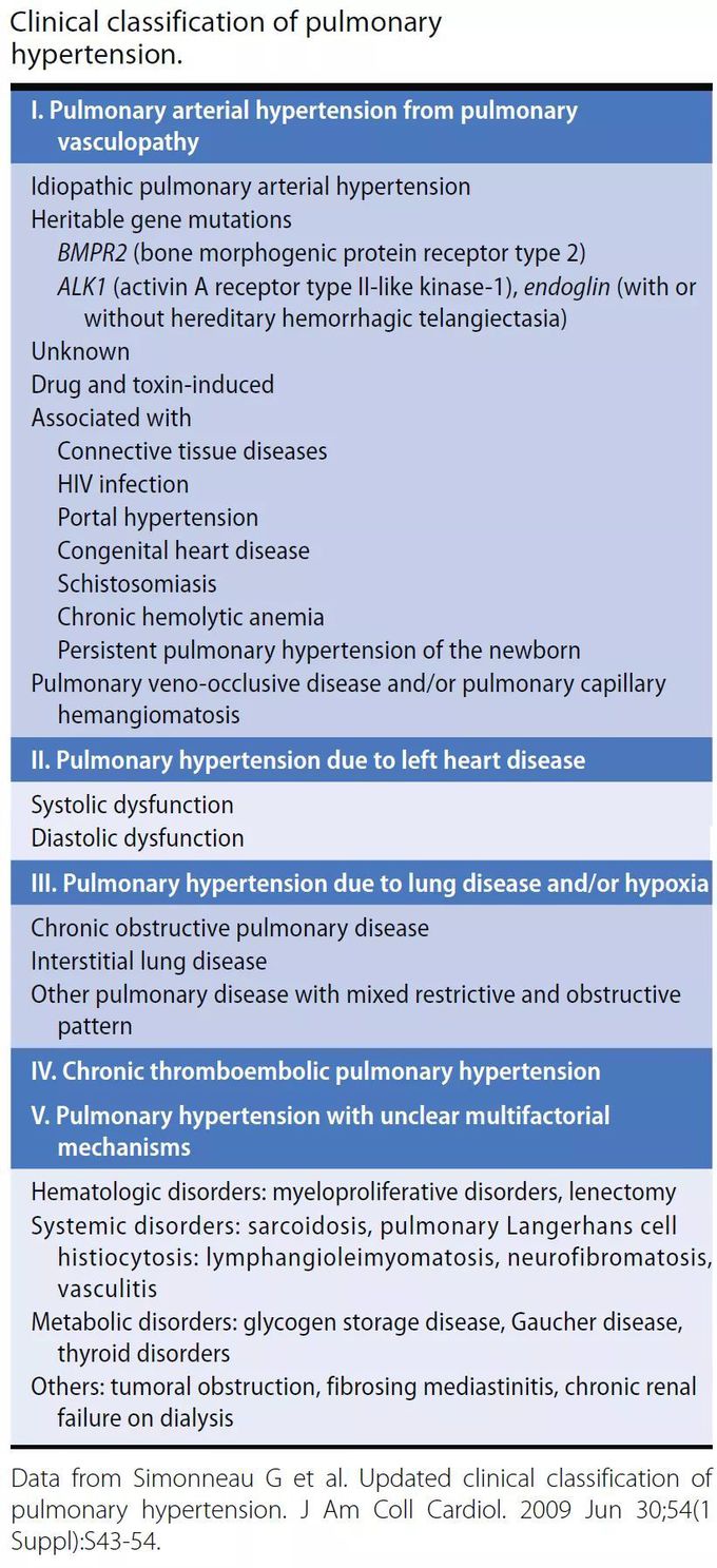 Clinical Classification Of Pulmonary Hypertension Medizzy