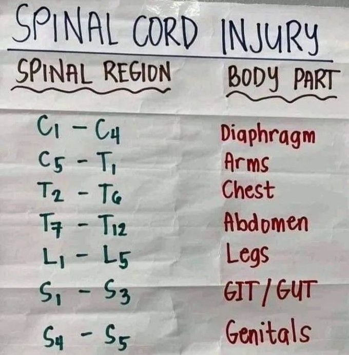 Spinal Cord Injury