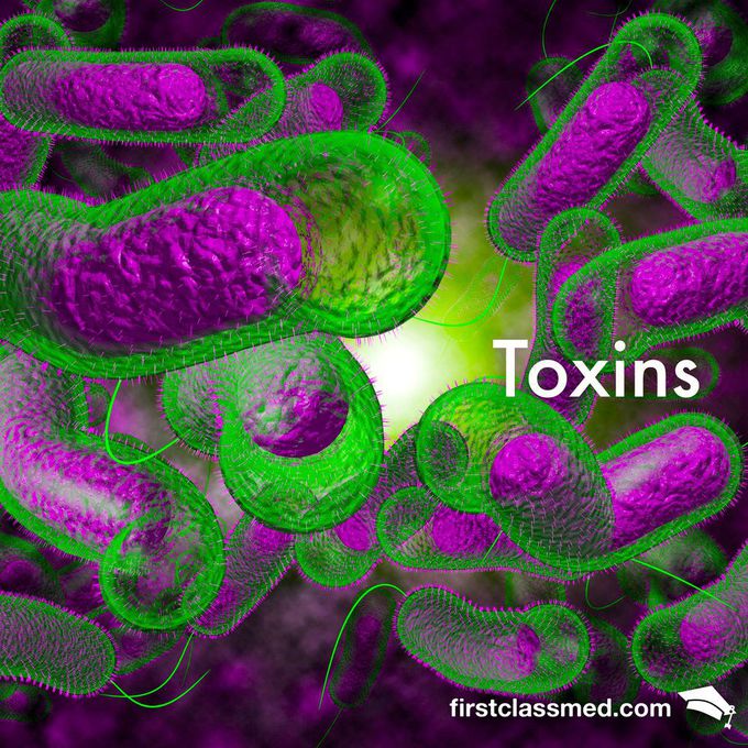 Toxins - Why size doesn't matter