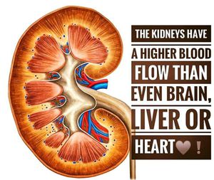 Did you know? - MEDizzy
