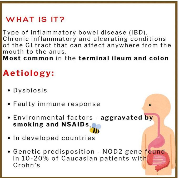 Crohn's Disease I